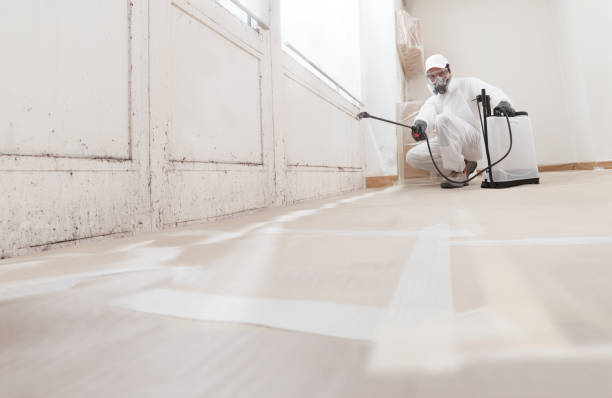 24/7 Emergency Bathroom Mold Removal experts in South Boston, VA
