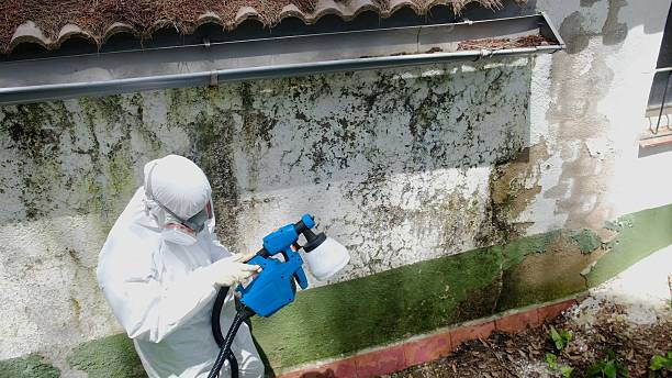 Top rated local Bathroom Mold Removal specialists in South Boston, VA